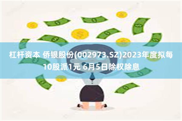 杠杆资本 侨银股份(002973.SZ)2023年度拟每10股派1元 6月5日除权除息