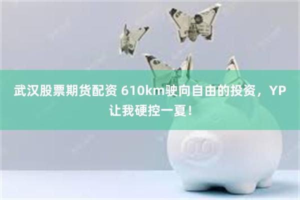 武汉股票期货配资 610km驶向自由的投资，YP让我硬控一夏！