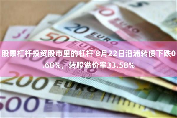 股票杠杆投资股市里的杠杆 8月22日沿浦转债下跌0.68%，转股溢价率33.58%