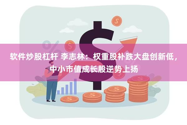 软件炒股杠杆 李志林：权重股补跌大盘创新低，中小市值成长股逆势上扬