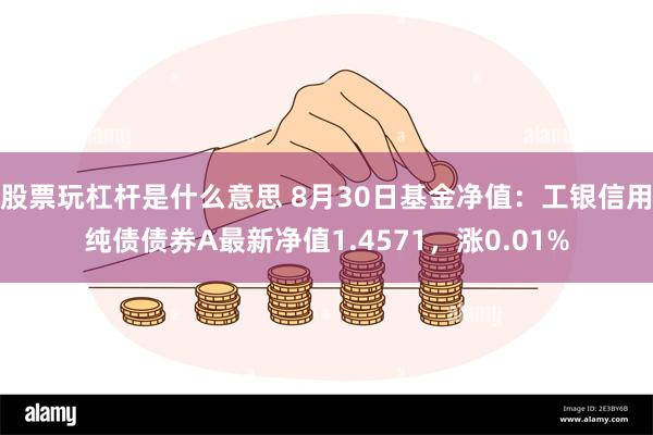 股票玩杠杆是什么意思 8月30日基金净值：工银信用纯债债券A最新净值1.4571，涨0.01%