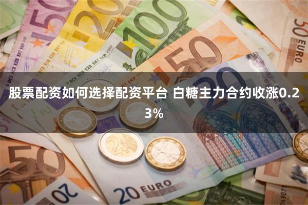 股票配资如何选择配资平台 白糖主力合约收涨0.23%