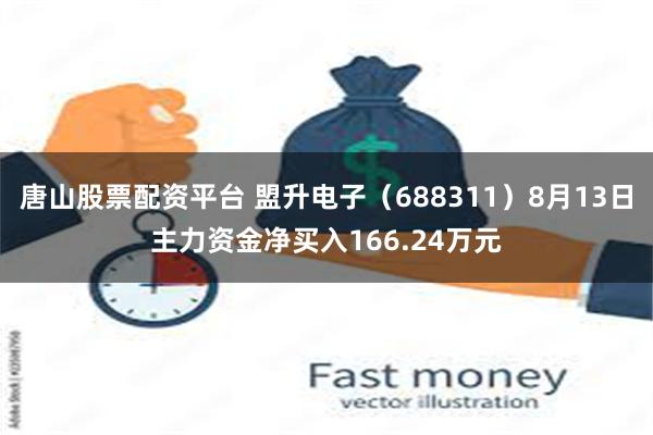 唐山股票配资平台 盟升电子（688311）8月13日主力资金净买入166.24万元