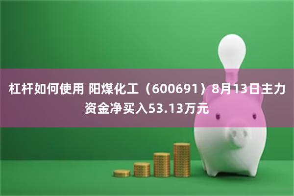 杠杆如何使用 阳煤化工（600691）8月13日主力资金净买入53.13万元