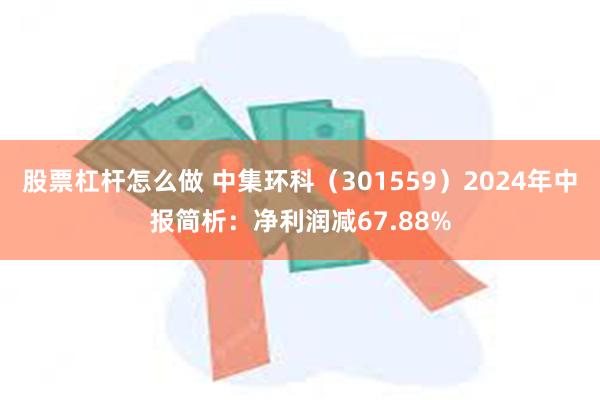 股票杠杆怎么做 中集环科（301559）2024年中报简析：净利润减67.88%