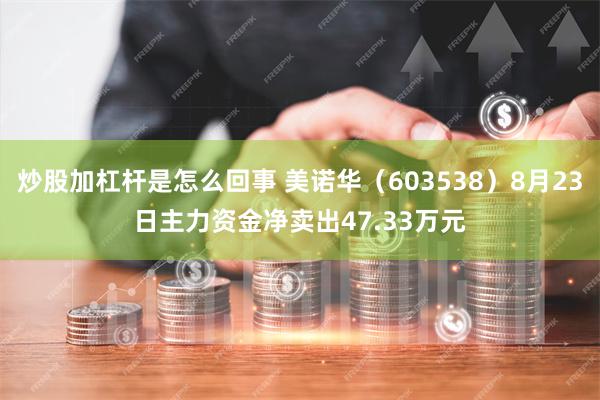 炒股加杠杆是怎么回事 美诺华（603538）8月23日主力资金净卖出47.33万元