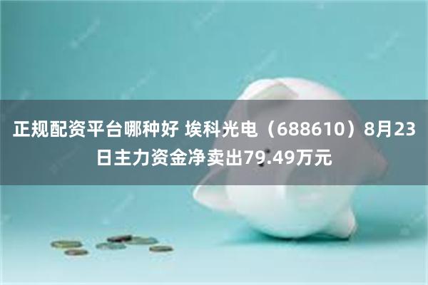 正规配资平台哪种好 埃科光电（688610）8月23日主力资金净卖出79.49万元