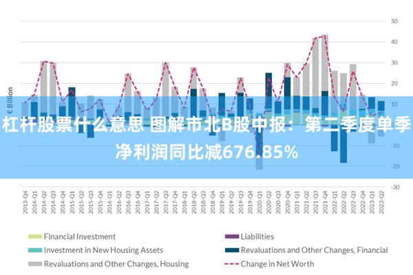 杠杆股票什么意思 图解市北B股中报：第二季度单季净利润同比减676.85%