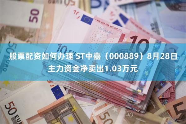 股票配资如何办理 ST中嘉（000889）8月28日主力资金净卖出1.03万元