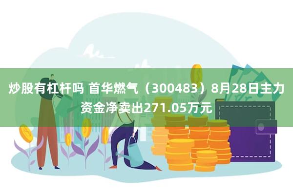 炒股有杠杆吗 首华燃气（300483）8月28日主力资金净卖出271.05万元