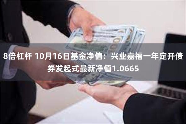 8倍杠杆 10月16日基金净值：兴业嘉福一年定开债券发起式最新净值1.0665