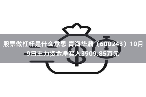 股票做杠杆是什么意思 青海华鼎（600243）10月9日主力资金净买入3909.85万元