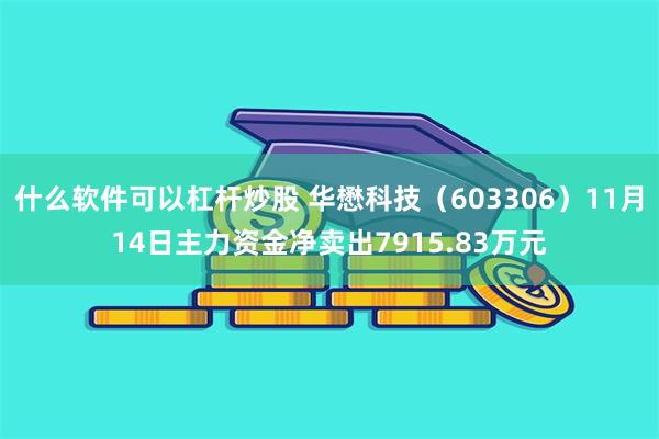 什么软件可以杠杆炒股 华懋科技（603306）11月14日主力资金净卖出7915.83万元