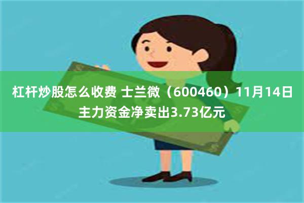 杠杆炒股怎么收费 士兰微（600460）11月14日主力资金净卖出3.73亿元