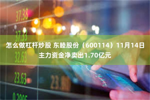 怎么做杠杆炒股 东睦股份（600114）11月14日主力资金净卖出1.70亿元