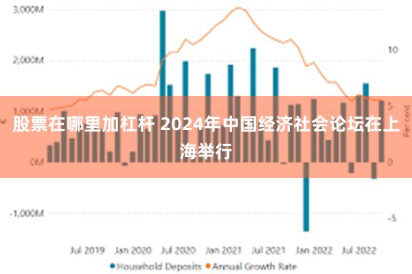 股票在哪里加杠杆 2024年中国经济社会论坛在上海举行