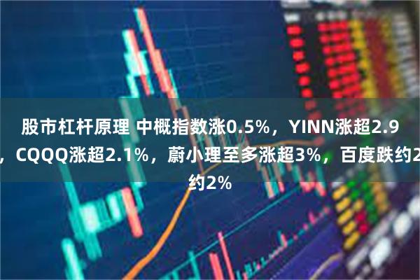 股市杠杆原理 中概指数涨0.5%，YINN涨超2.9%，CQQQ涨超2.1%，蔚小理至多涨超3%，百度跌约2%