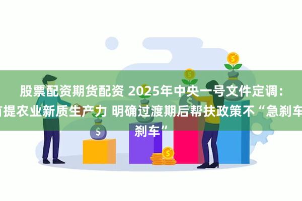 股票配资期货配资 2025年中央一号文件定调：首提农业新质生产力 明确过渡期后帮扶政策不“急刹车”